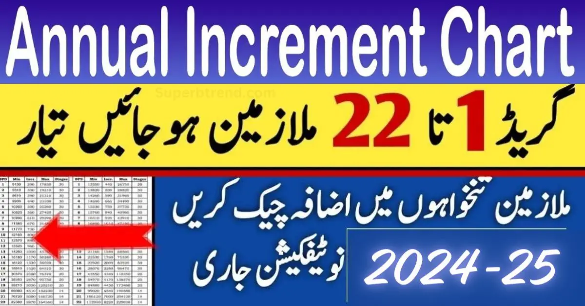 Annual Increment Chart 2024-25 new update